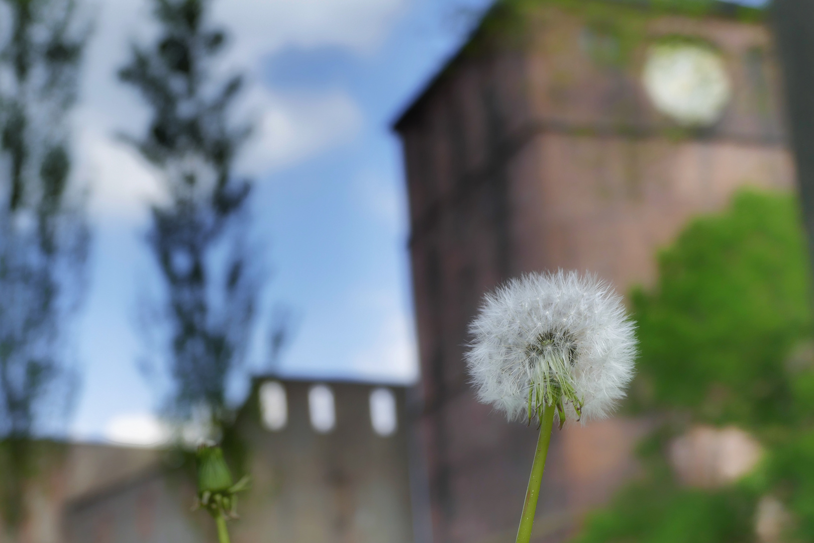 Heidelberger Schloss #2