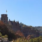 Heidelberger Schloss