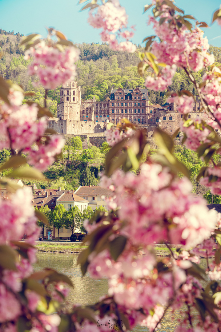 Heidelberger Schloss