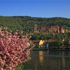 Heidelberger Schloss