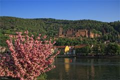 Heidelberger Schloss