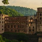 Heidelberger Schloss