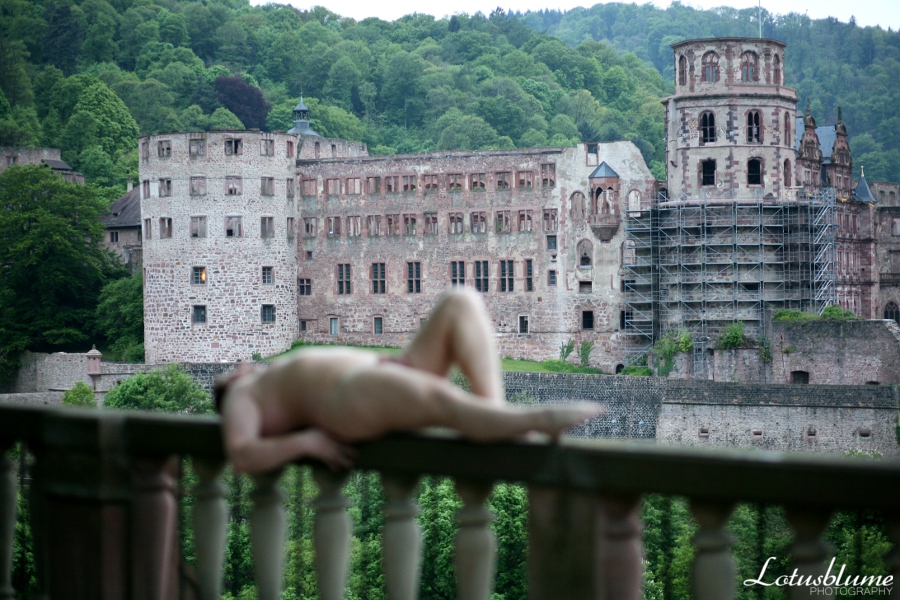 Heidelberger Schloss mal anders