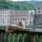 Heidelberger Schloss mal anders