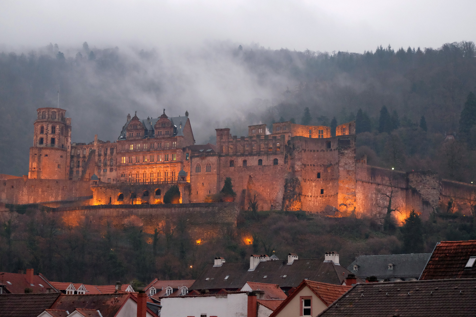 Heidelberger Schloss mit Nebel