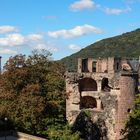 Heidelberger Schloss (Rückseite)