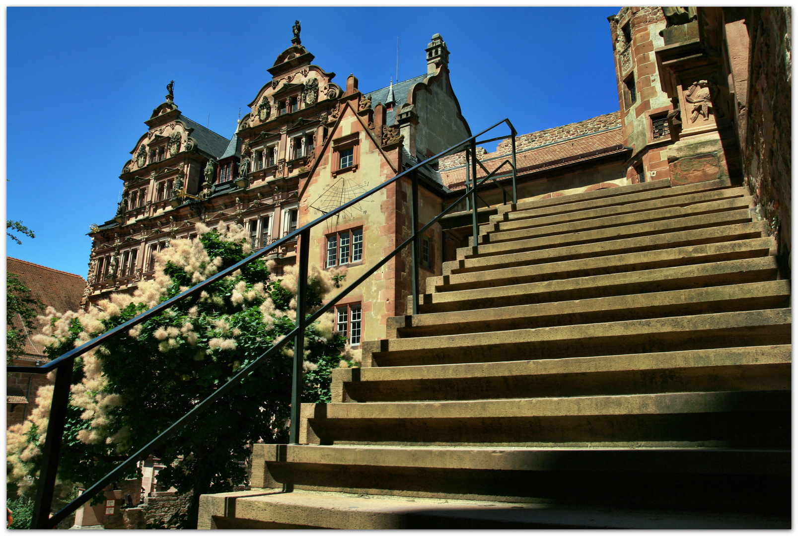 Heidelberger Schloß V