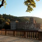 Heidelberger Schloß vom Schloßgarten