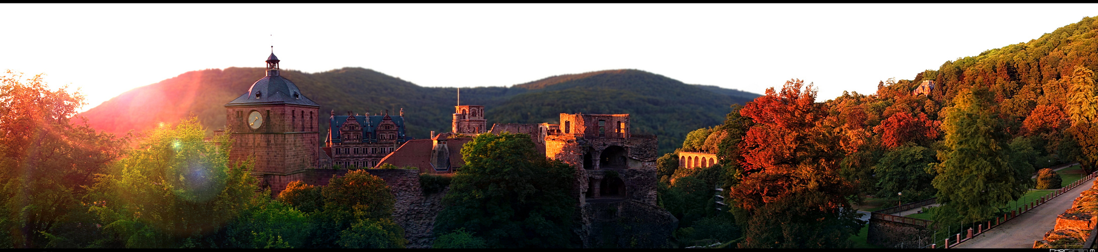 Heidelberger Schloss vor der Abendsonne