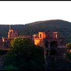 Heidelberger Schloss vor der Abendsonne