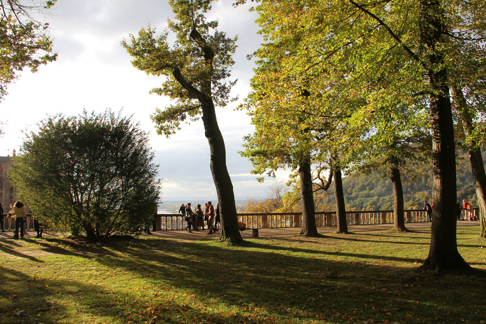 Heidelberger Schlossgarten