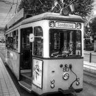 Heidelberger Strassenbahn TW80