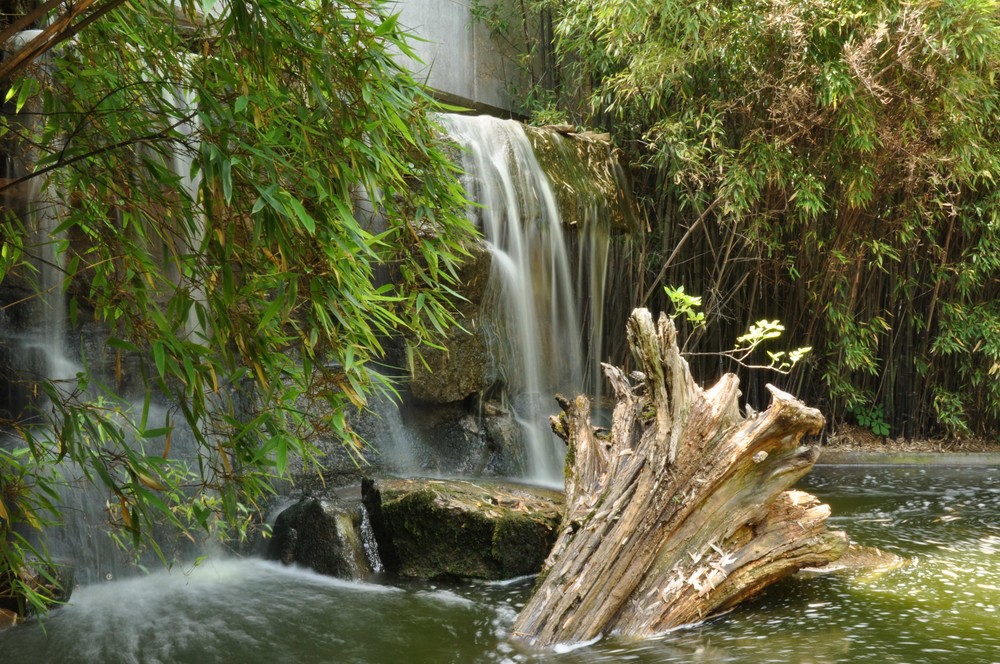 Heidelberger Wasserfall