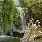 Heidelberger Wasserfall