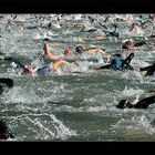 HeidelberMan 2007 - Schwimmstart an der alten Brücke