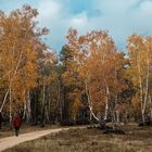 Heideleuchten im Herbst