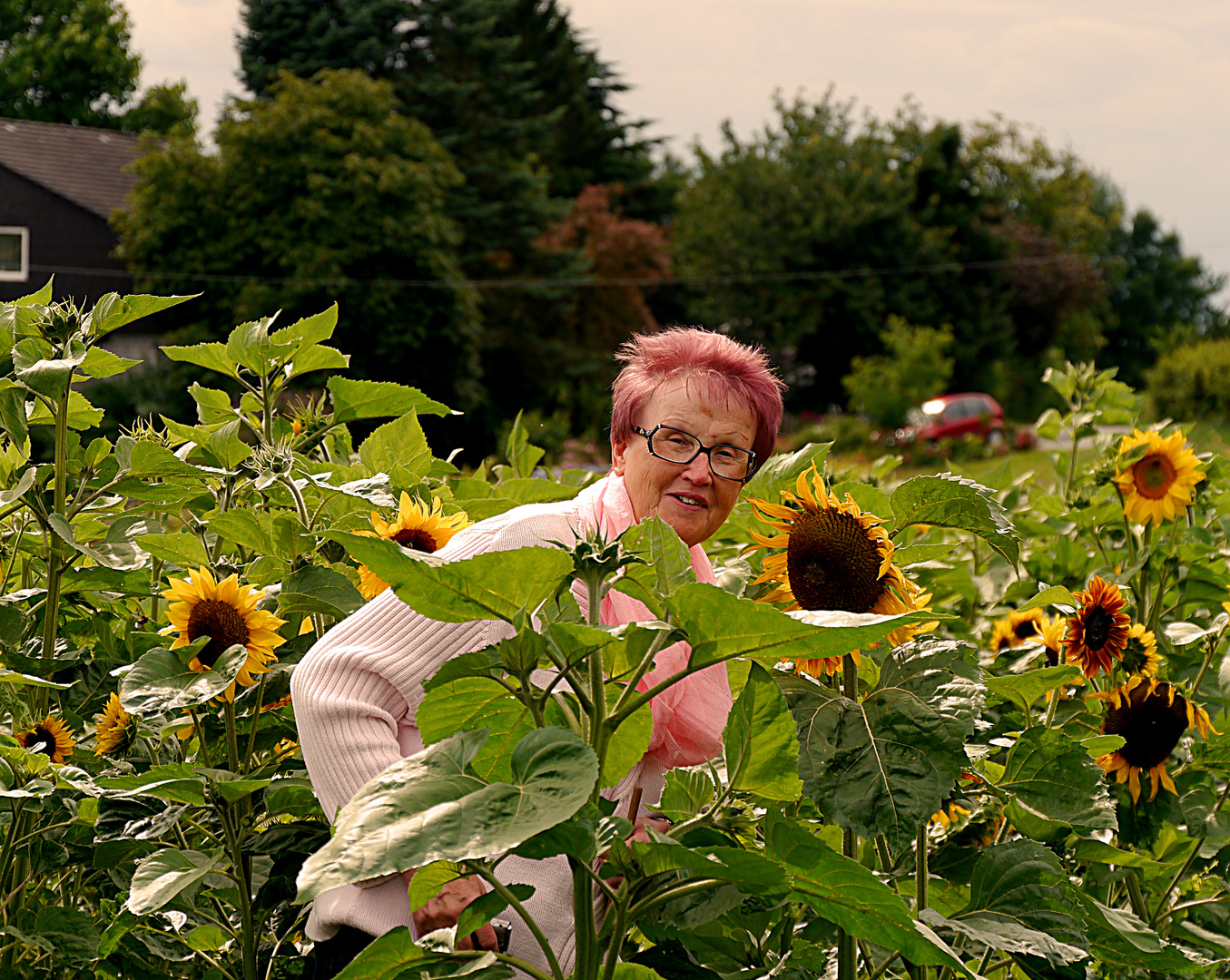 Heidemarie, als "Sonnenblume!" auf der Blumenwiese.
