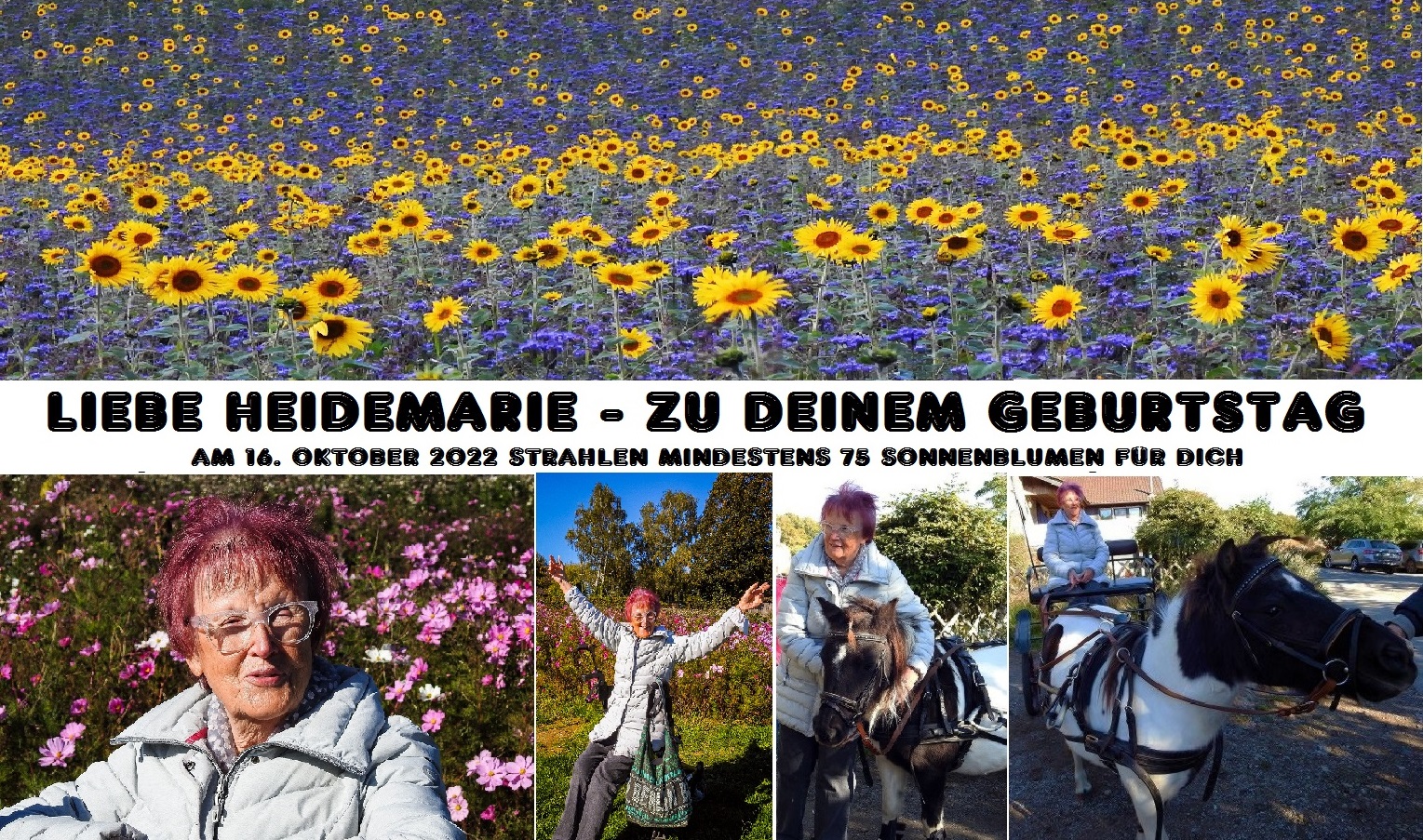 Heidemarie wird 75 !