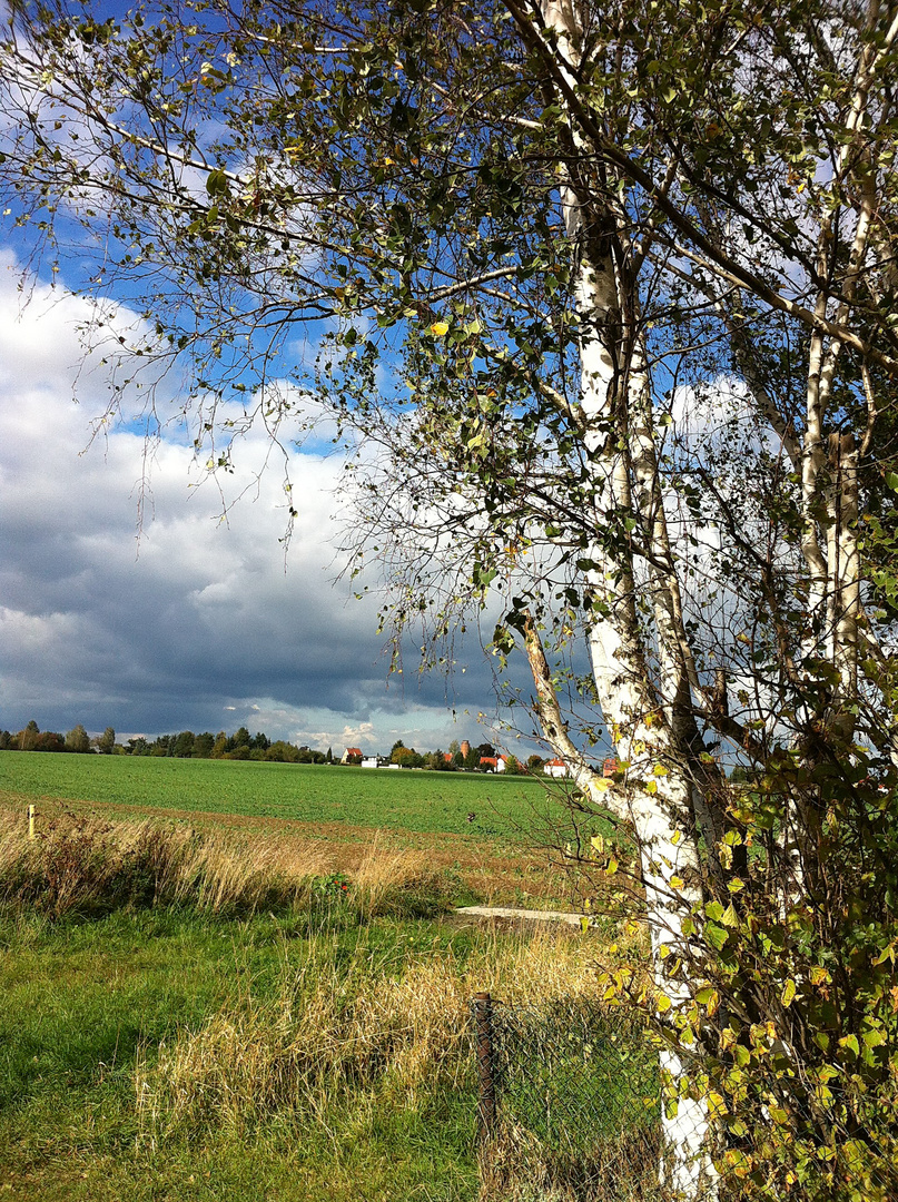 Heidenau-Großsedlitz im Sommer 2012