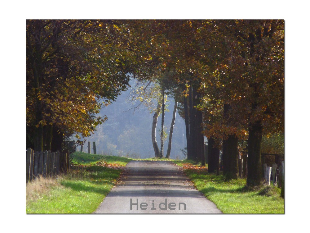 Heidener Herbst