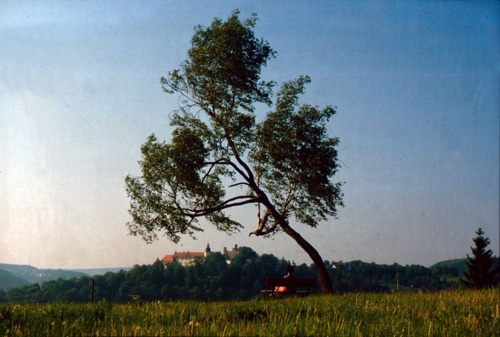 Heidenheim Schloss Hellenstein vom kleinen Galgenberg