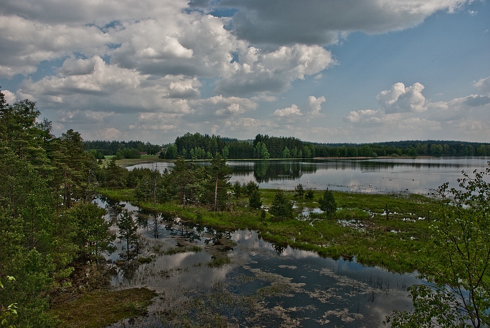 Heidenreichsteiner Moor