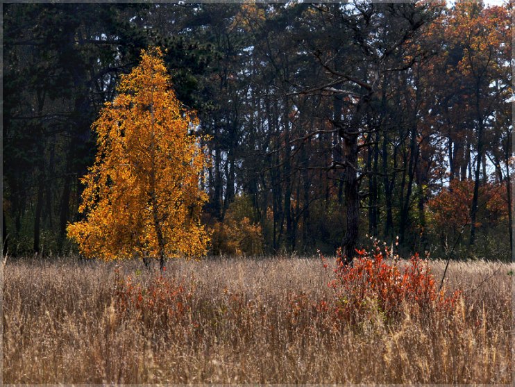 heideoktober