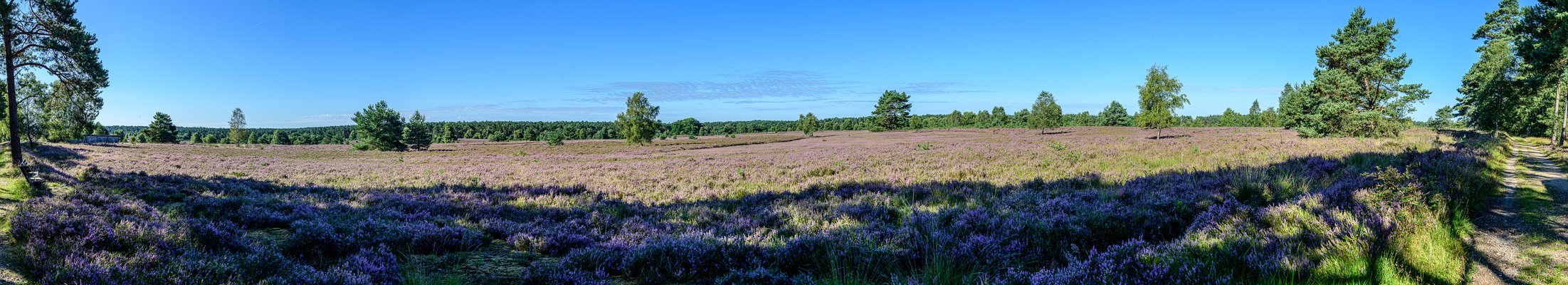 Heidepanorama 180°