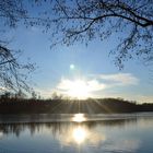 Heider Bergsee, Brühl