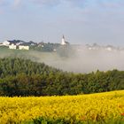 Heiderscheid (in Raps und Nebel)