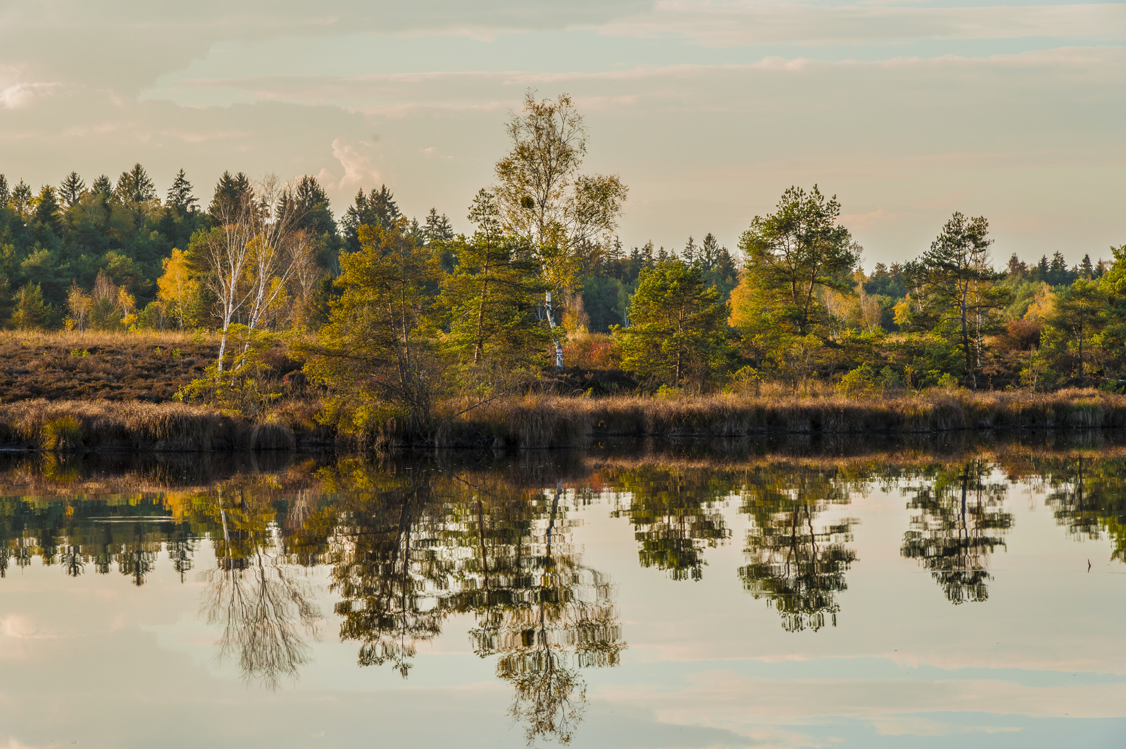 Heidesee