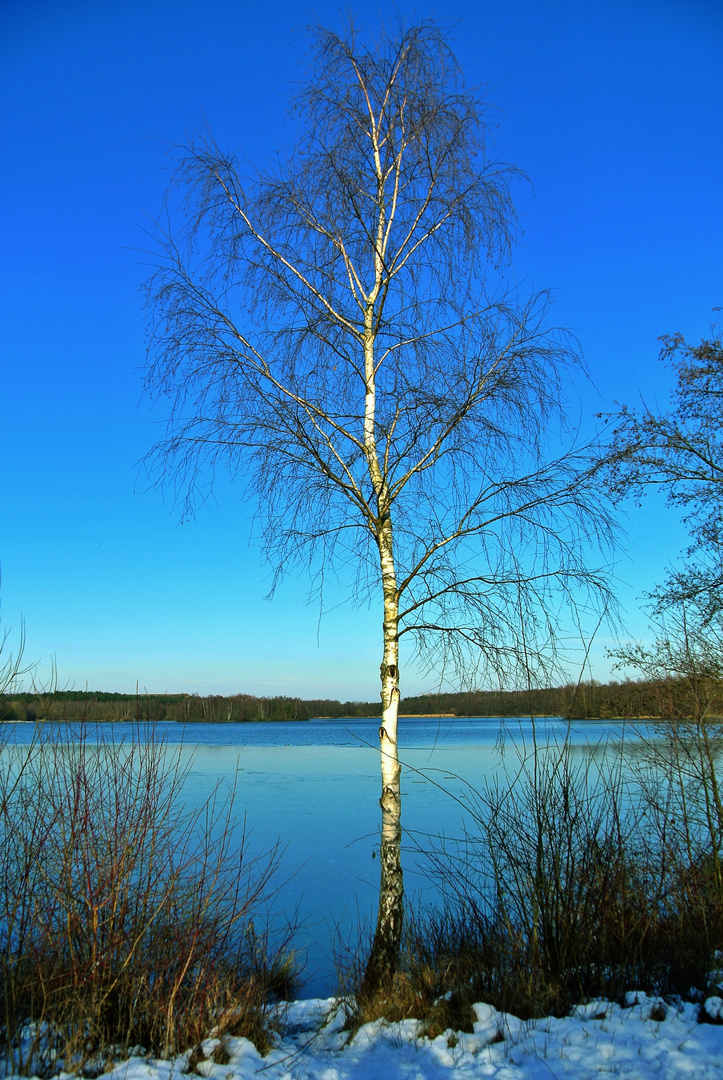 Heidesee