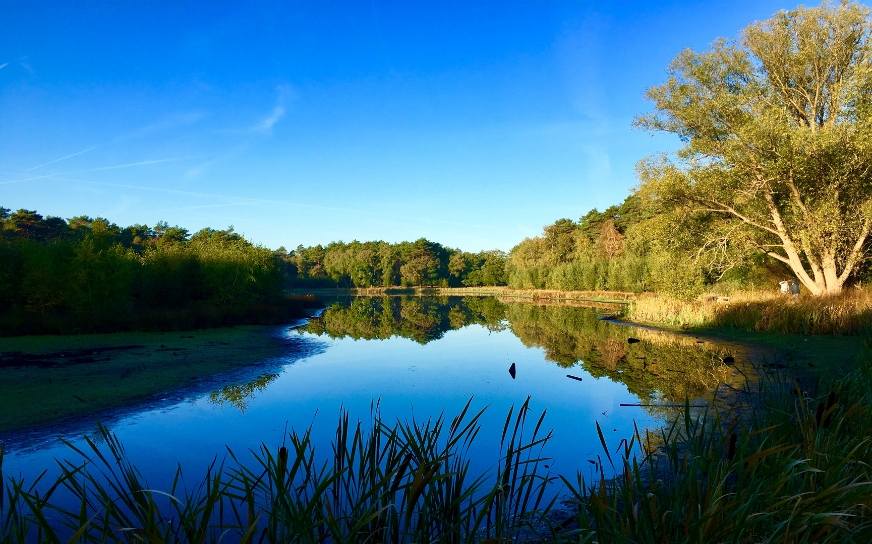 Heidesee 