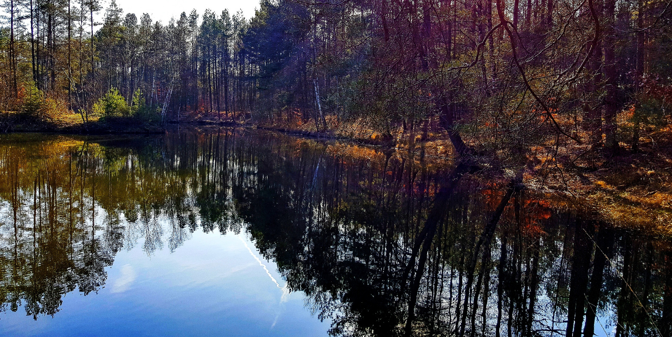 Heidesee als Spiegel