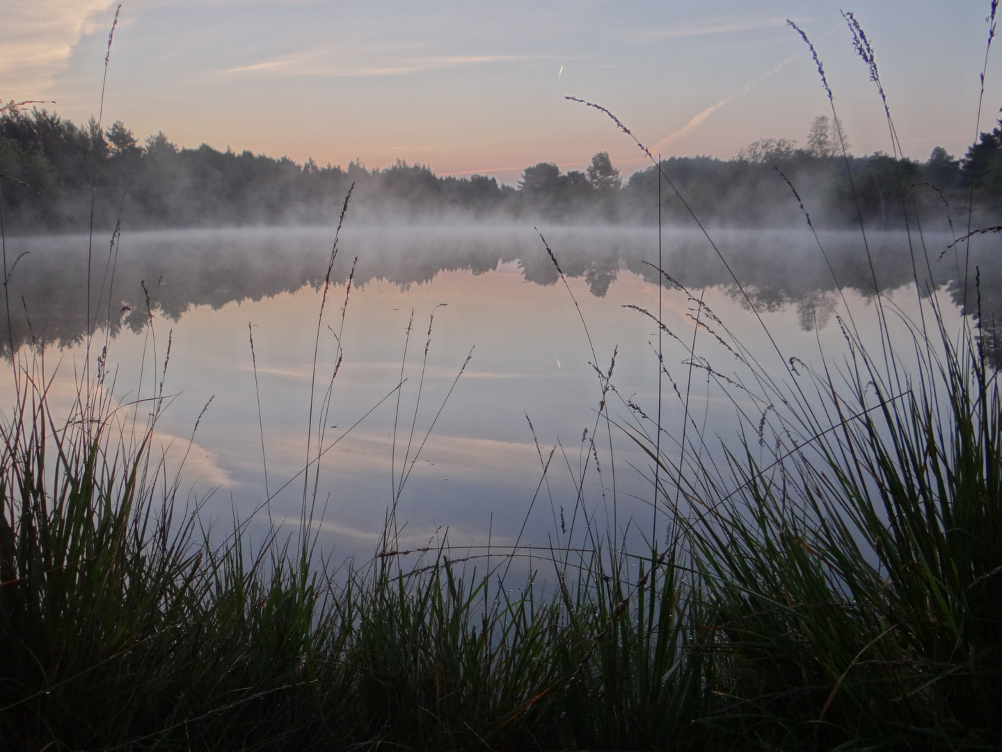 Heidesee am Morgen 1