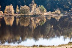 Heidesee am Morgen