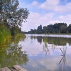 Heidesee bei Müden, Lüneburger Heide