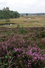 Heidesee bei Venlo (NL)