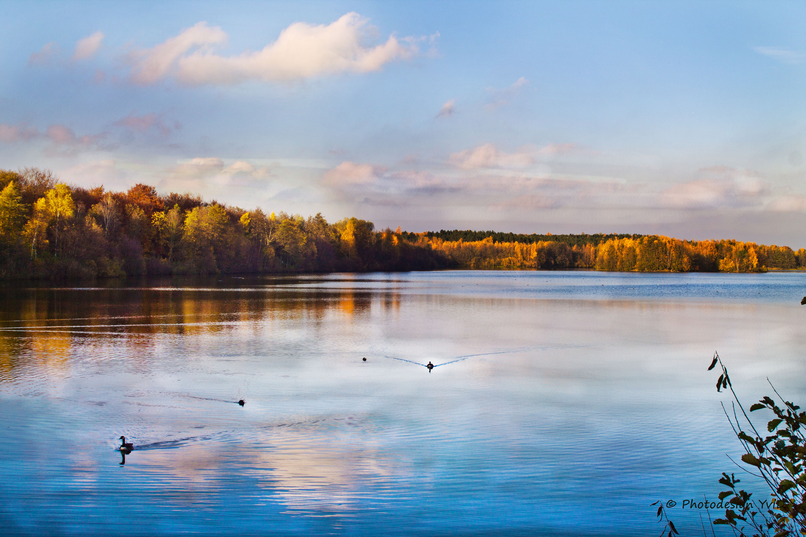 Heidesee