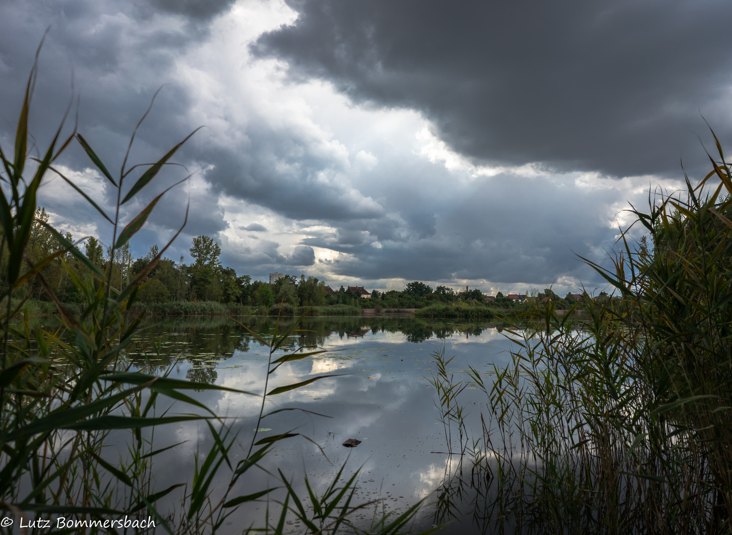 Heidesee im Regen