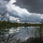 Heidesee im Regen