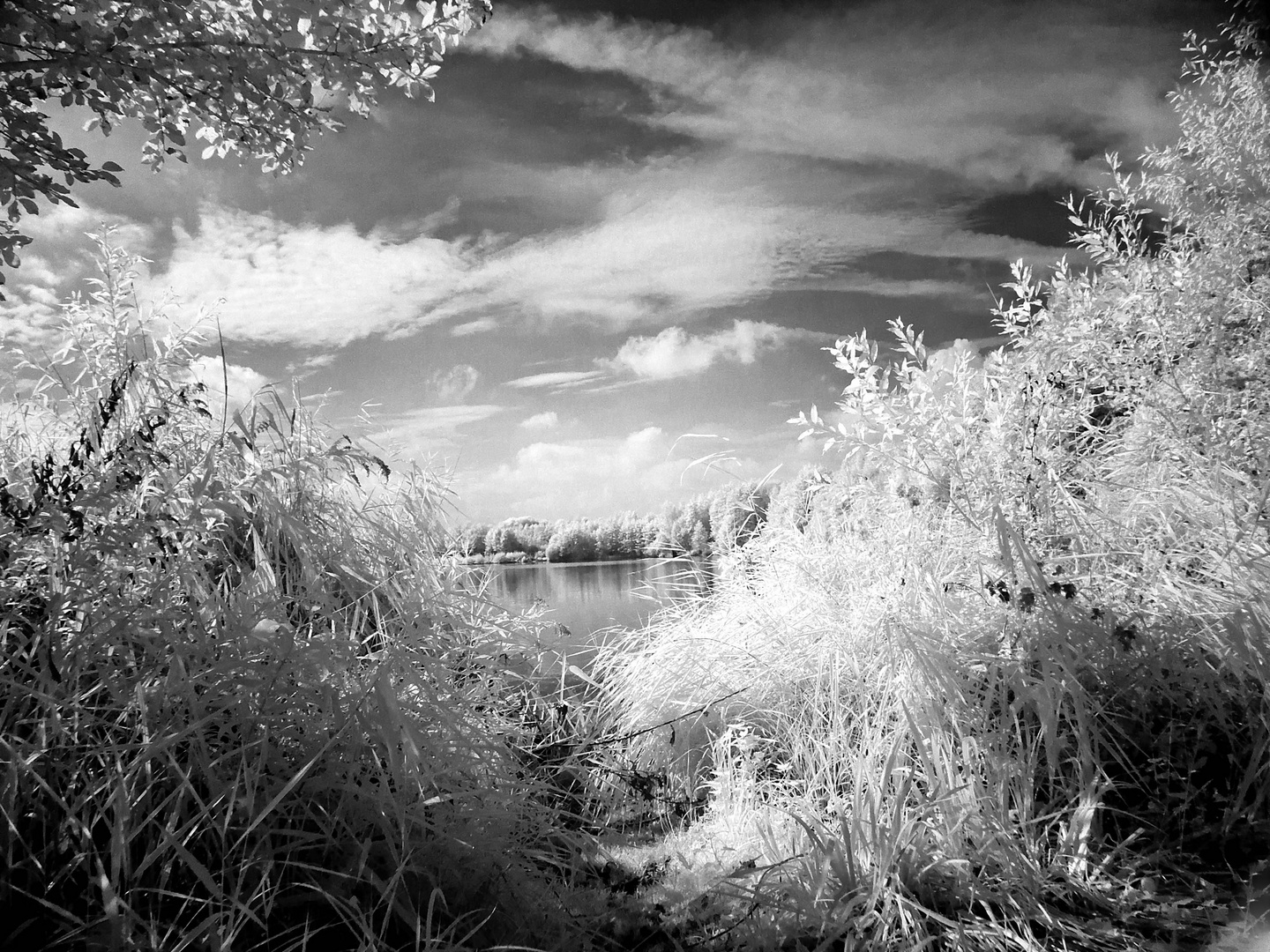 Heidesee in Bottrop Foto & Bild landschaft, bach, fluss & see, see