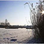 Heidesee (Winterimpressionen 6)