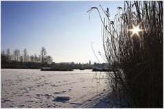 Heidesee (Winterimpressionen 6)