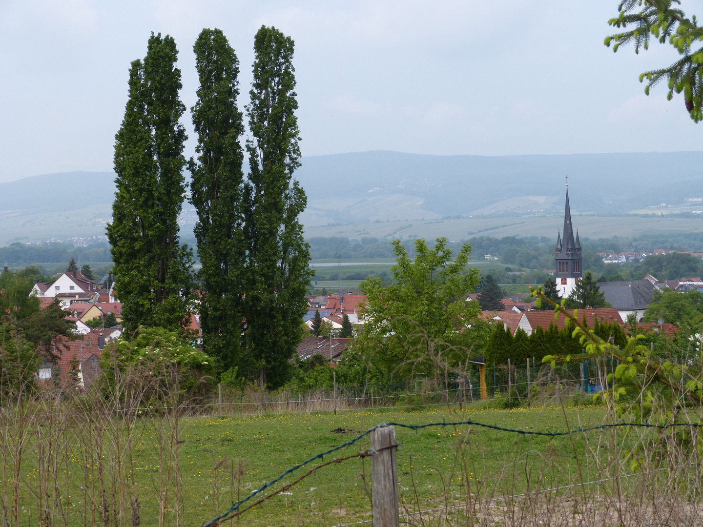 Heidesheim im April