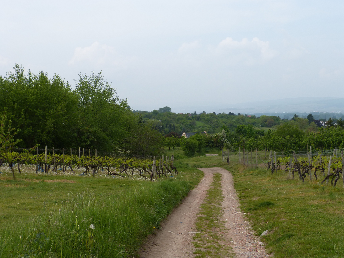 Heidesheim im April, Teil 2