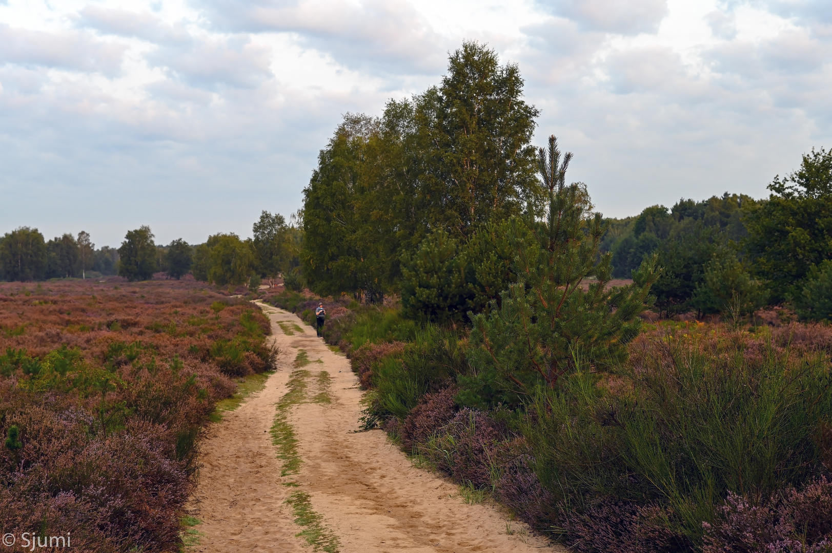 Heidespaziergang