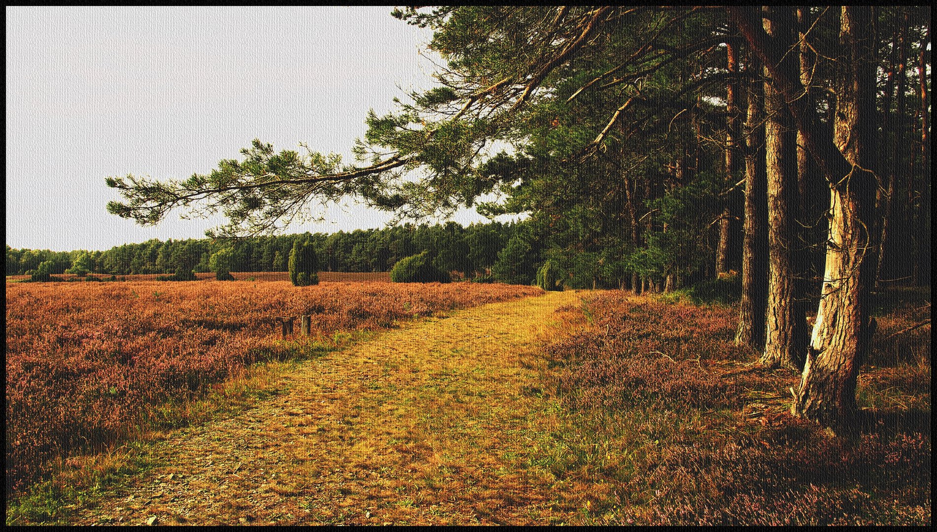 Heidespaziergang