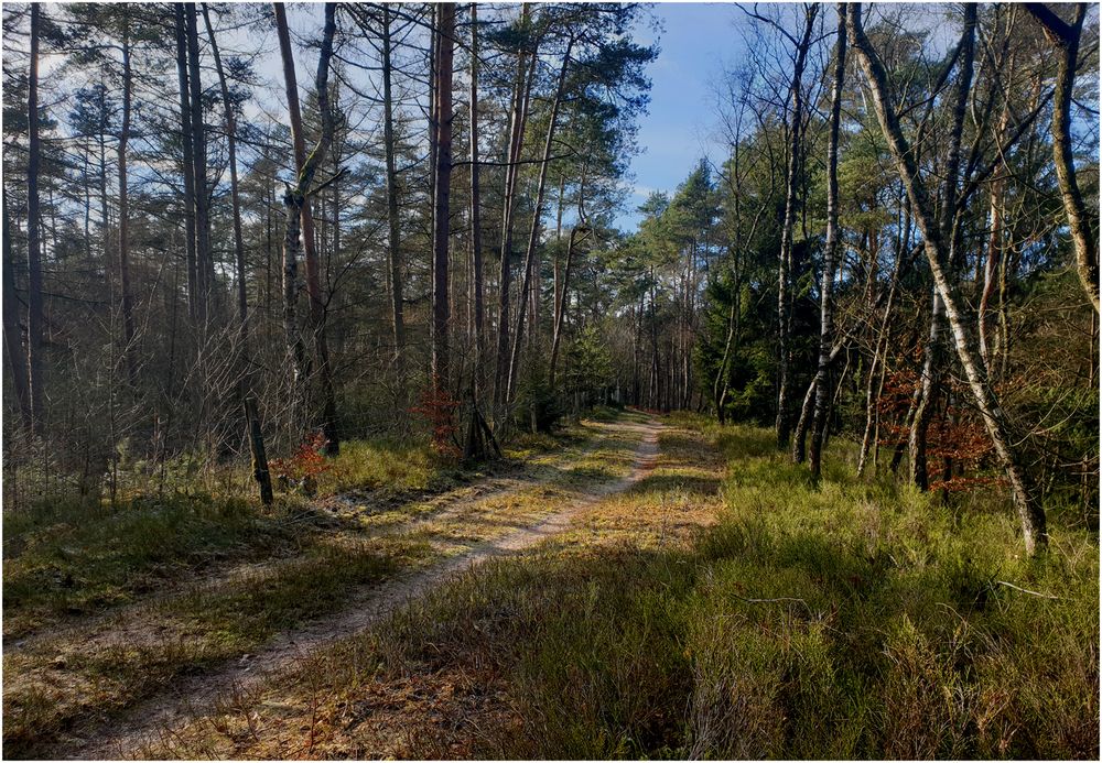 Heidewaldweg