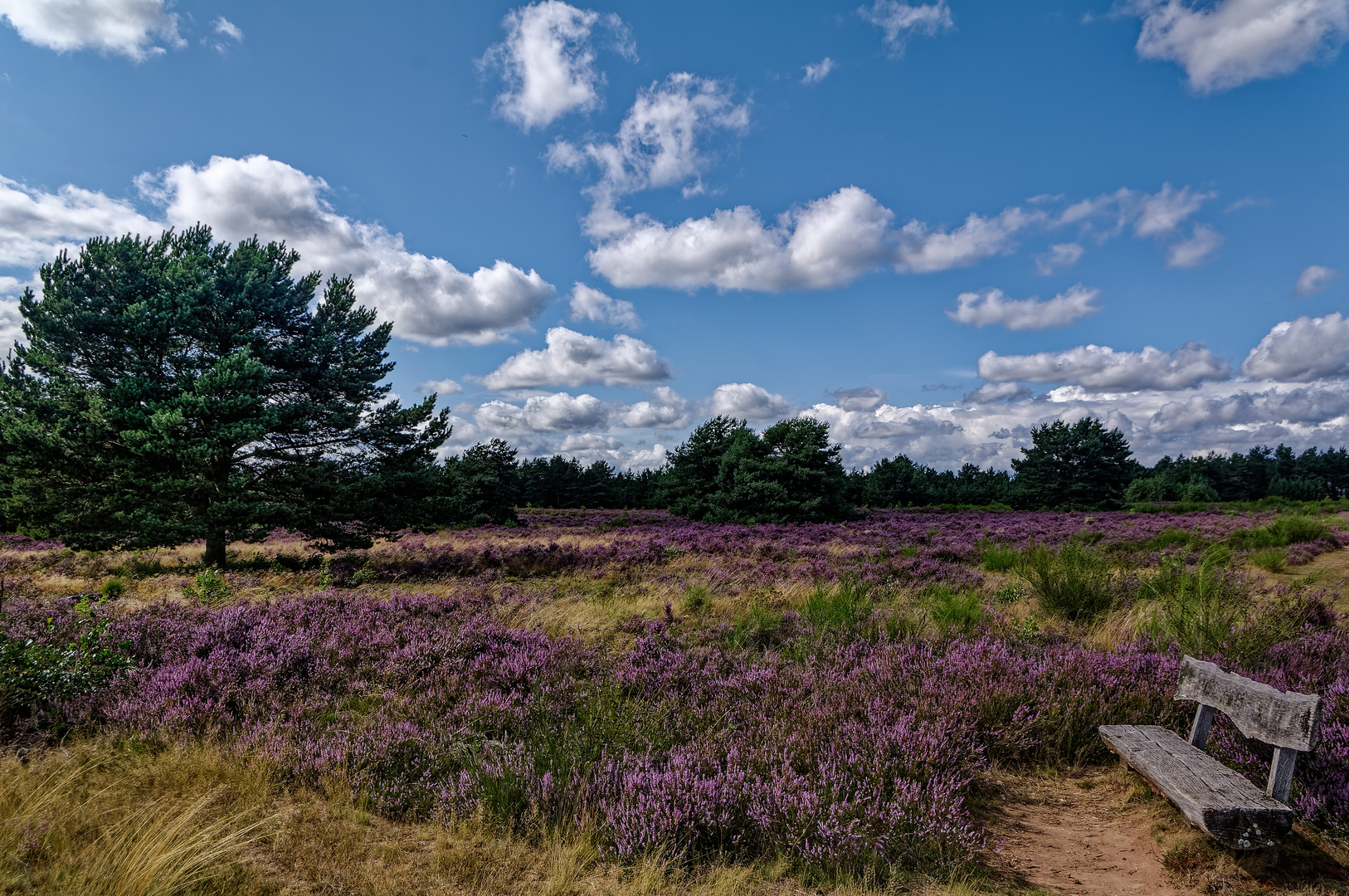 Heidewanderung